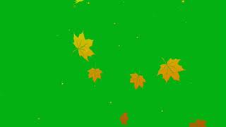 new Autumn leaves particle falling #GreenScreen Full HD 1080p HIGH FR30
