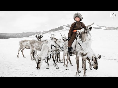 Video: Apa yang disebut pergerakan musiman rusa kutub?