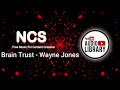 Brain Trust Wayne Jones Free Background Music For Content Creators