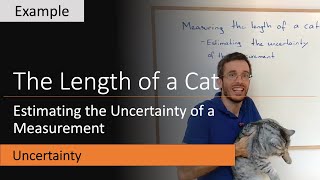 Estimating the uncertainty of a measurement - Example: the length of a cat