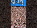 اتفرج واستمتع على جمهور الزمالك احلى جمهور في مصر