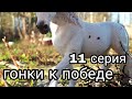 Сериал шляйх 1сезон 11серия"гонки к победе"