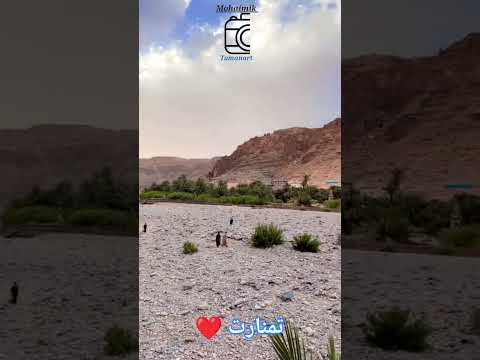 تمنارت طاطا الموكار نتمنارت 2023 رابط الفيديو Https Youtube Com Shorts 9Ys WSmB7j4