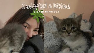 [Cat Mom Diaries] I ADOPTED A KITTEN!! - mini vlog by Honeycheebee 19,572 views 3 years ago 3 minutes, 28 seconds