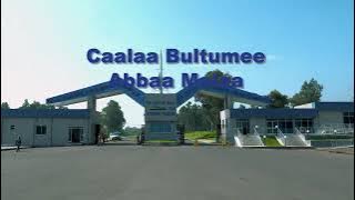 Caalaa Bultumee - Abbaa Malaa Afaan oromoo Music 2021