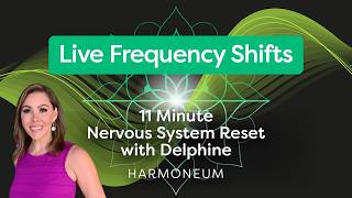 Live Frequency Shift - Microdose Meditation - 11 Minute Nervous System Reset