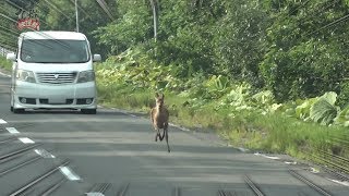 打首獄門同好会「10獄放送局」第44回