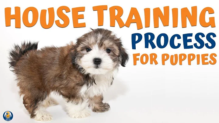 House Training Puppies: Susan Garrett's Quick Proc...