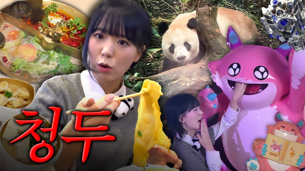 판다의 도시 청두 여행 브이로그 -상-