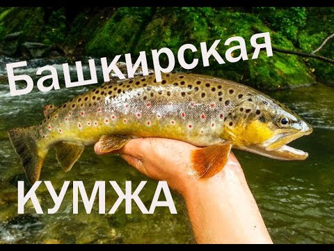 ✔ Забытые реки #8 Форель в Башкирии