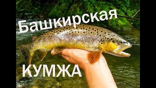 ✔ Забытые реки #8 Форель в Башкирии