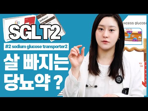 (ENG)살빠지는 당뇨약? 2편 SGLT2 포시가, 자디앙, 슈글렛, 직듀오서방정, 자디앙듀오는 어떤 것일까?