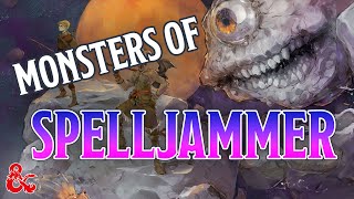 What Are The Monsters of Spelljammer | Dungeons & Dragons