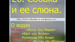 26 Собака и ее слюна 26 Собака и ее слюна
