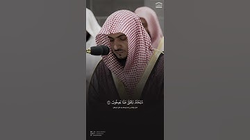 تلاوة خاشعة للشيخ د.#الوليد_الشمسان من #سورة_الأنعام