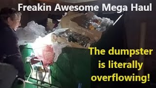 Freakin Amazing Mega Haul BEST ALDI Dumpster Dive