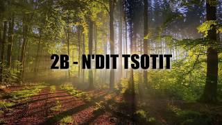 2B - N'dite T'sotit (Prod. FatonAsllani)