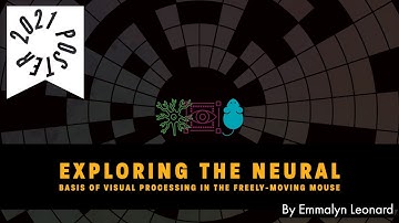 Exploring the neural basis of visual processing in the freely-moving mouse