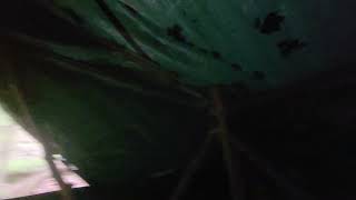 20251012_125953.mp4, Interior