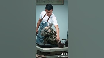 Tạo tác bonsai tiểu cảnh. #short #lingnanbonsai #cafebonsai