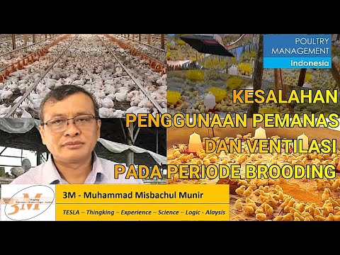 Video: Apakah pemanas alas baik?