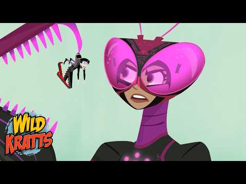 Aviva's Praying Mantis Transformation | Creature Transformation | Wild Kratts