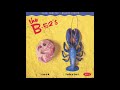 The B 52s Rock Lobster Torisutan Extended