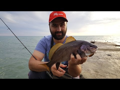 Рыбалка в Абхазии. Поимка и вываживание горбыля