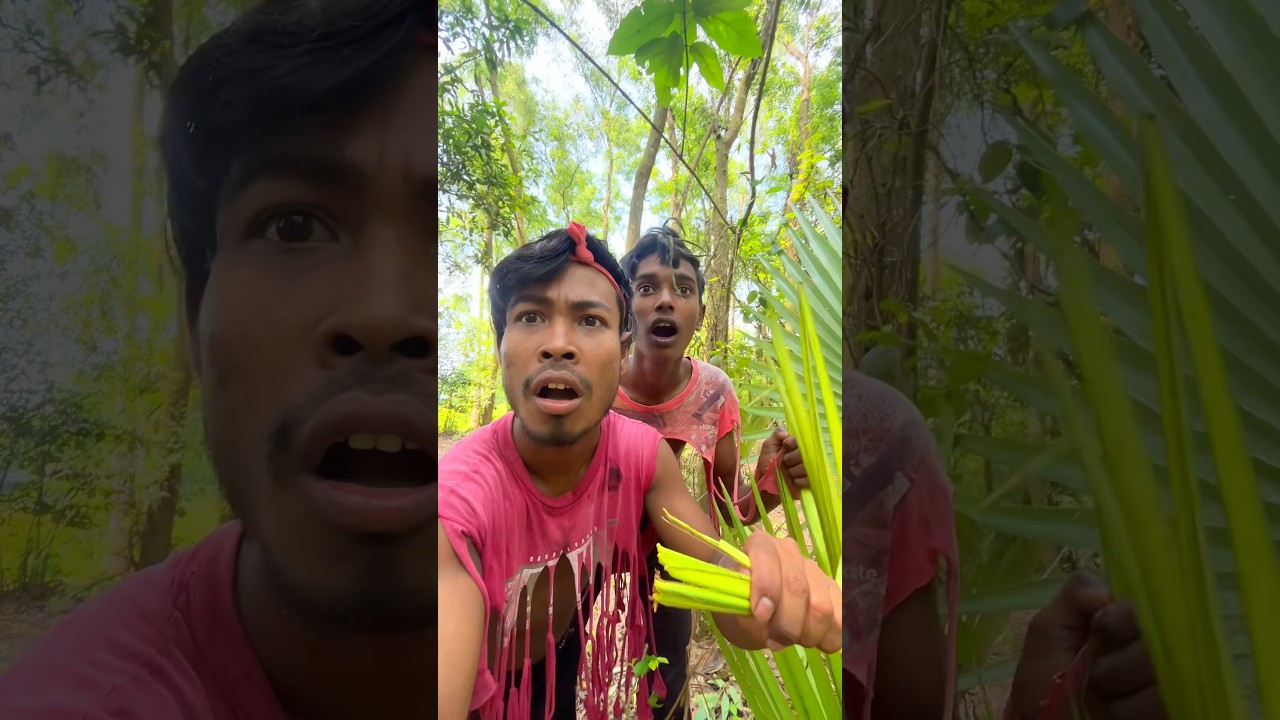 এলিয়েন কি করলো 👽😱 #minivlog #vlog