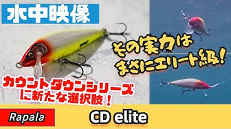 ラパラ Youtube ラパラ Youtube