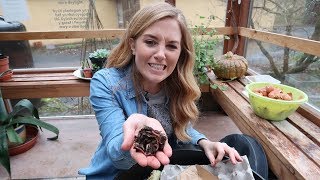 Sustainability From Your Sofa | Living Off Grid with Maddie Moate | Earth Lab Sustainability From Your Sofa | Living Off Grid with Maddie Moate | Earth Lab