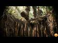 How the Viet Cong Weaponized their Jungle | 3D Animation