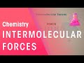 Intermolecular Forces Explained: Types and Examples