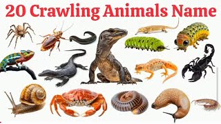 20 रेंगने वाले जानवरों के नाम | 20Crawling Animals for Kids | LearnAnimal Names with Pictures