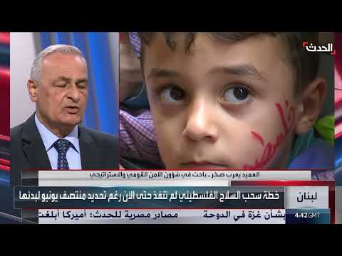 نزع سلاح الميليشيات في لبنان: خطوات وتحديات