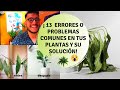 ¿Por qué se mueren mis plantas? / Mis plantas se están secando qué hago