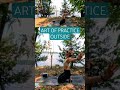 🌿Art of Awareness: Practice with me! Aloha