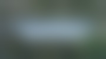 As Seen on Canna Cribs - Common Culture Trellis Netting