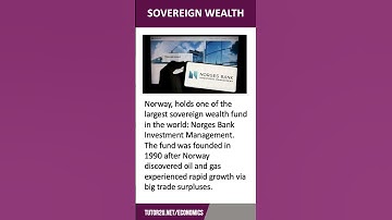 Thumbnail of Sovereign Wealth Funds | 60 Second Economics | A Level & IB
