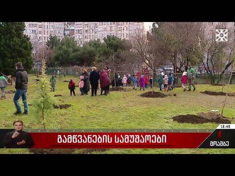 გამწვანების სამუშაოები