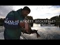 Поиск рыбы в бесклевье. Где клюет щука осенью?