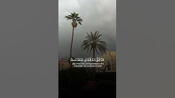 قَالَ رَبِّ أَرِنِي أَنظُرْ إِلَيْكَ ۚ (143) | سورة الأعراف