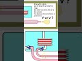 Breathing Mechanism: How Lungs Exchange Air Explained #shorts