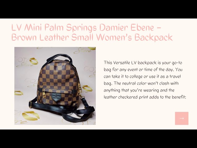 LV Mini Palm Springs Damier Ebene – Brown Leather Small Women's