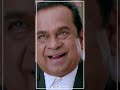 #Brahmanandam Supports #NandamuriKalyanram | #MLAKaPower #KajalAggarwal #Viral #AdityaMovies #Shorts