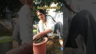 Compost Fertilizer frim Kitchen waste🍀🌿🌷🥀🌺 #gardening #kitchen #composting