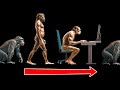 La Verità sull’Evoluzione Regressiva: gli Organismi Possono Tornare a Forme più Semplici?