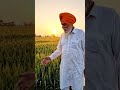 #youtubeshorts # #love #punjabisong Sirat Kaur