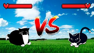 Maxwell Cat vs Maxwell Cat | who will win?