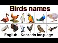 Name of Birds |Birds Name Kannada & English language |Birds name english| Ak english Learning